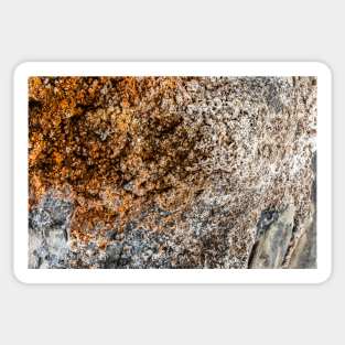 Rustic Seaside Erosion Texture - Alternative Sticker